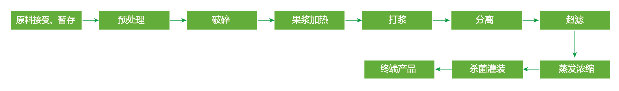藍(lán)莓、草莓、桑葚濃縮汁